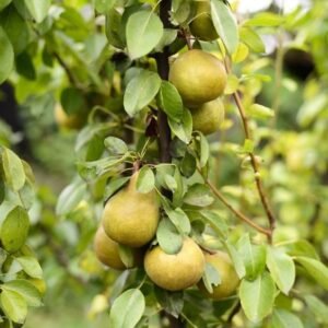 99b5c28d583dd1dfe1743bfc313d2514