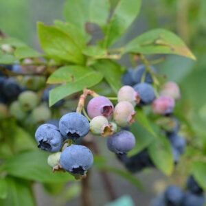 3baf0f30fabb05d8ac840fc7c94a64c9