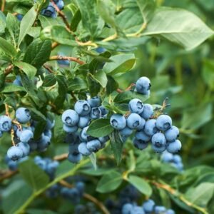 8d00cf5e09a5b70503b9149be45773eb