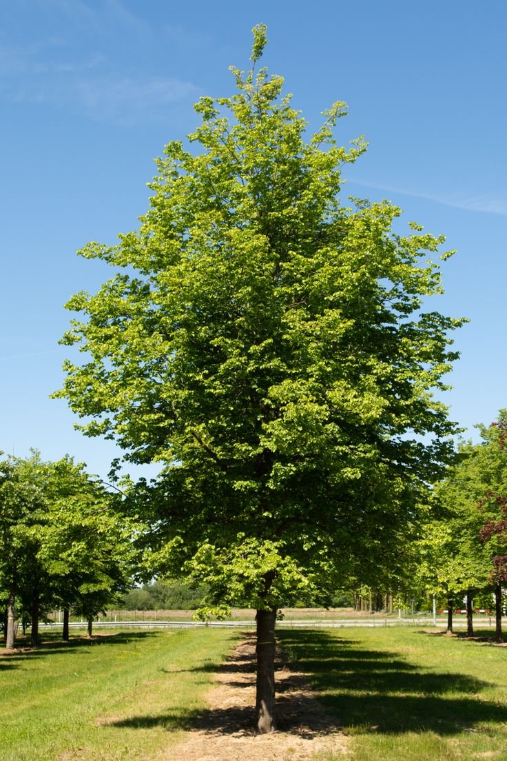 c7aa840c996a1f83cf935cbe0730ac60 c7aa840c996a1f83cf935cbe0730ac60