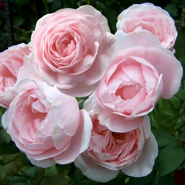 jzgsr5i3d4li3vy0orgvtj985q083p2j jzgsr5i3d4li3vy0orgvtj985q083p2j